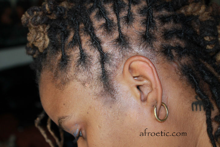 Dreadlock Hairs Styles An Afroetic Narrative
